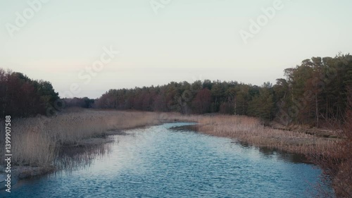 Wallpaper Mural Tranquil Waterway Surrounded by Trees and Reeds Torontodigital.ca