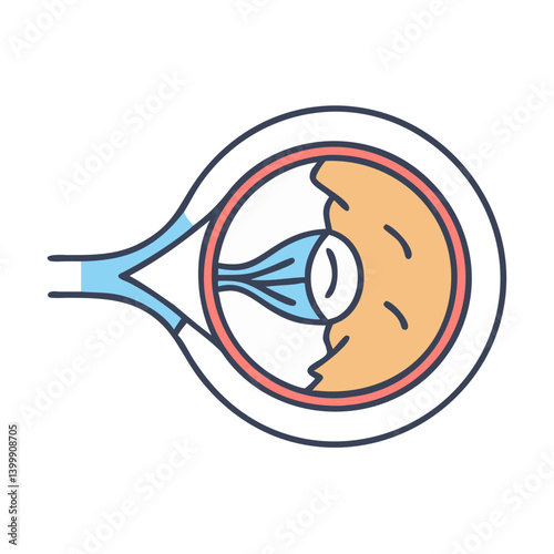  Stylish Cornea Anatomy Icon