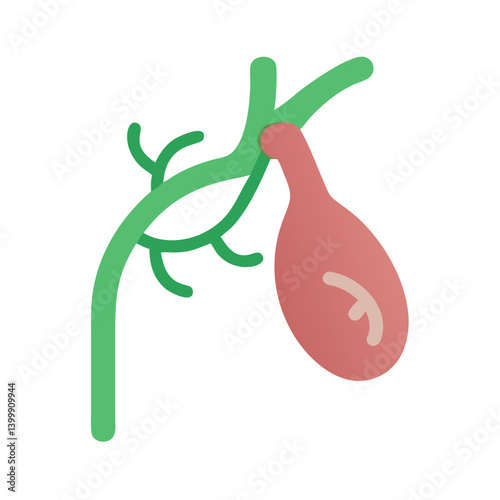 Creative Gallbladder Anatomy Icon