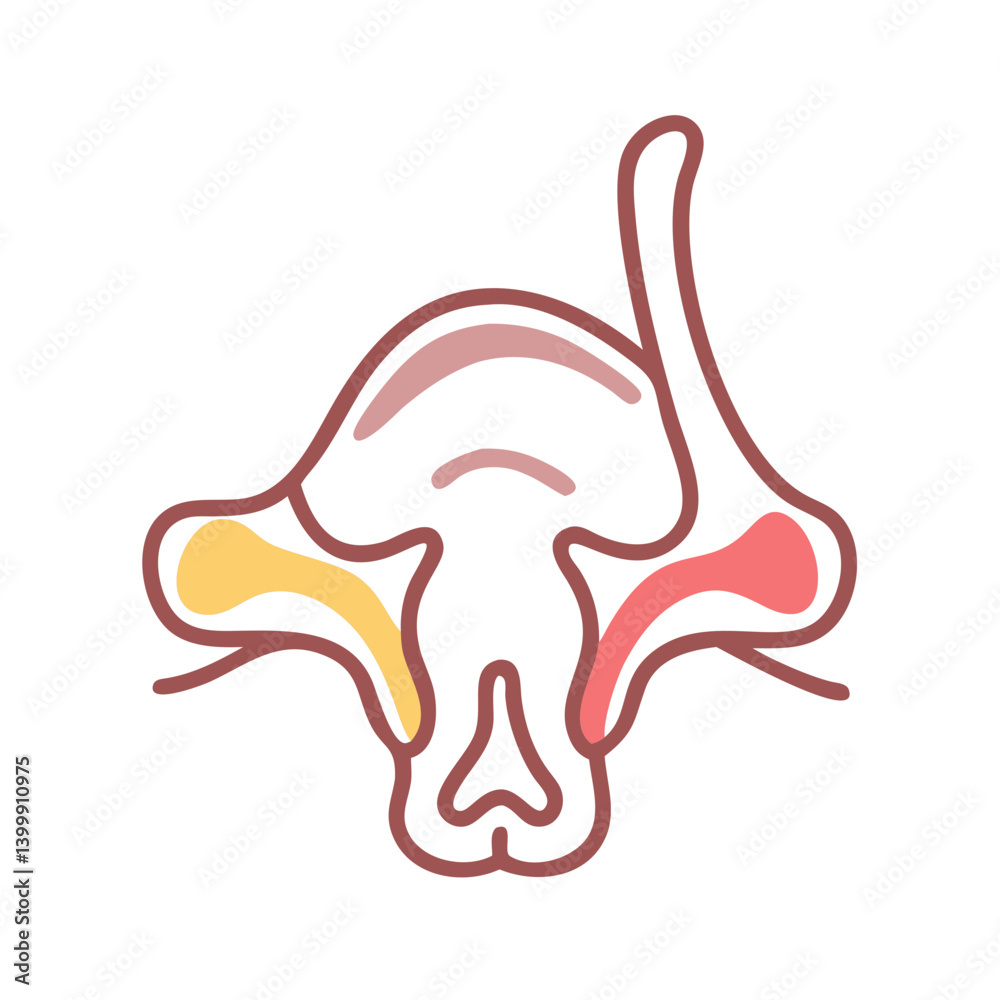 Obraz premium Stylish Inferior Nasal Concha Anatomy Icon