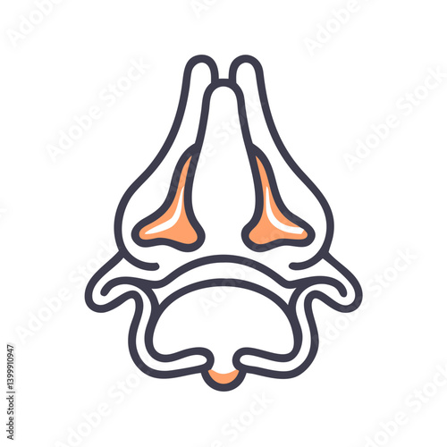  Modern Inferior Nasal Concha Anatomy Icon