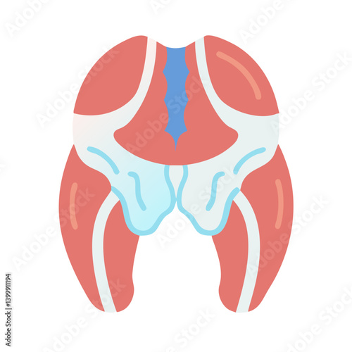  Creative Ischium Anatomy Icon