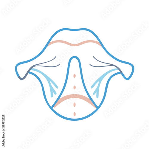  Stylish Masseter Muscle Anatomy Icon