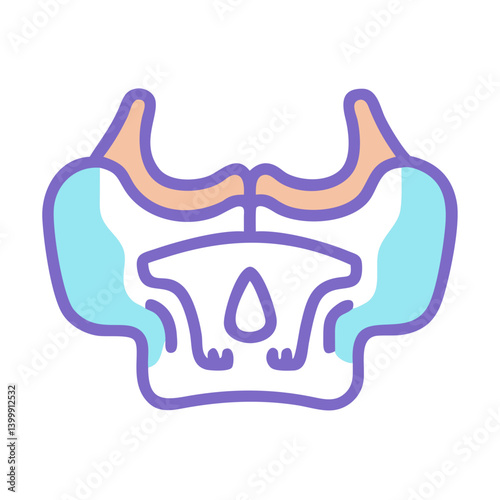  Creative Maxilla Anatomy Icon