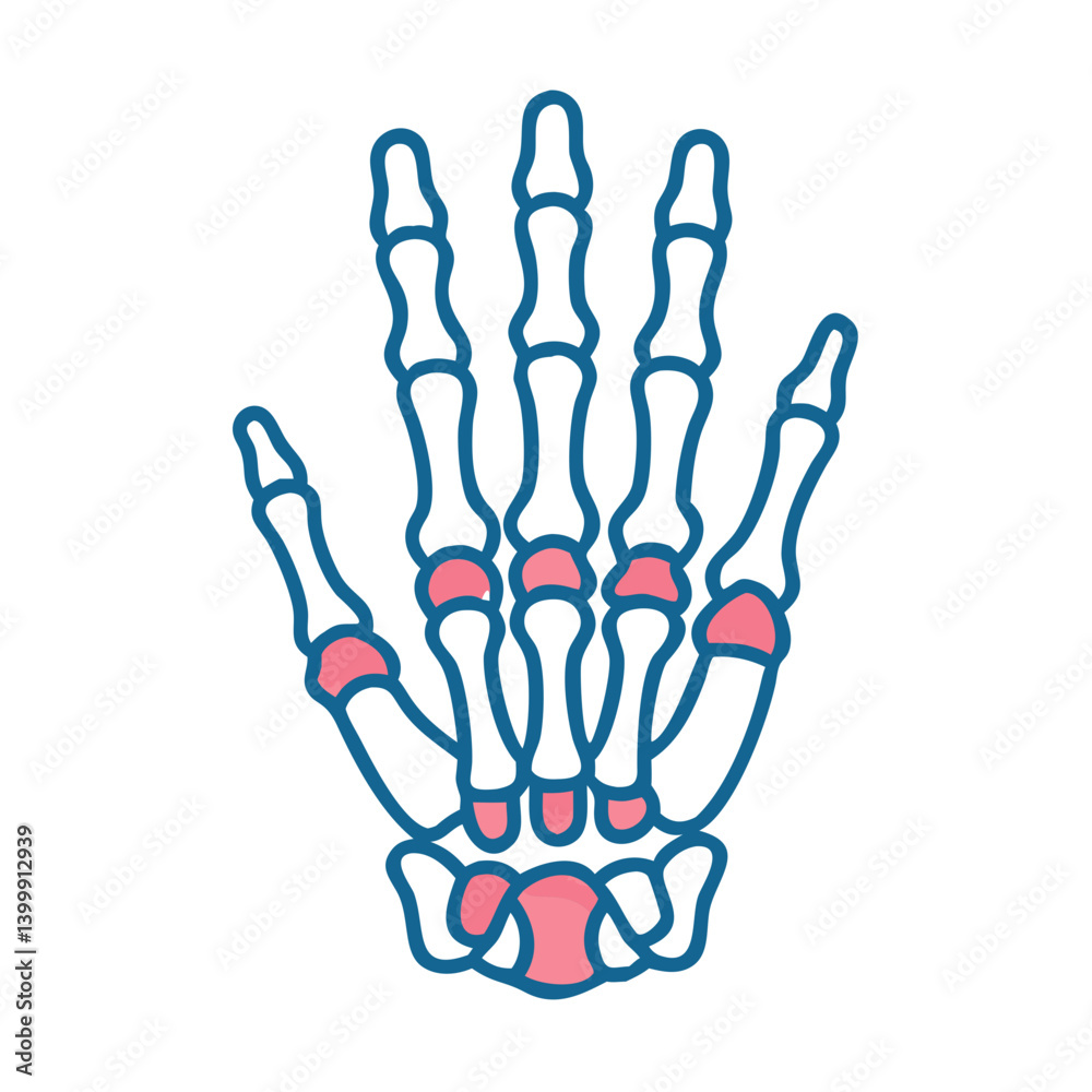 Fototapeta premium Metacarpals Bone Anatomy Icon