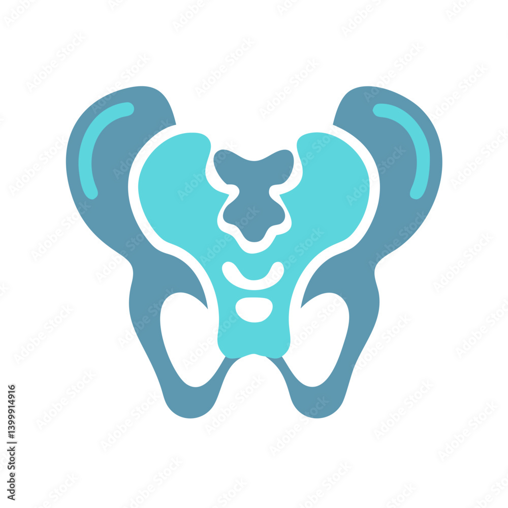 Obraz premium pelvis-anatomy-icon-