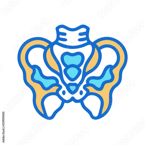  Pelvis Bone Structure Anatomy Icon