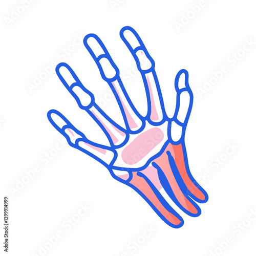  Creative Phalanges Anatomy Icon