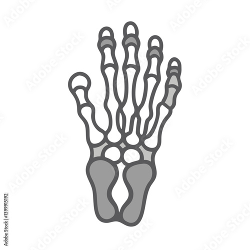  Phalanges Foot Bone Anatomy Icon