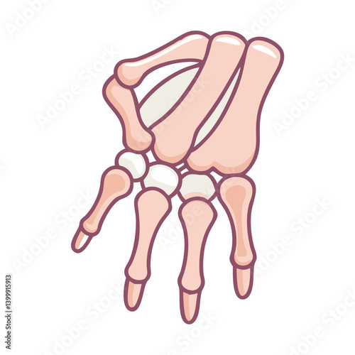  Scaphoid Bone Anatomy Icon Design