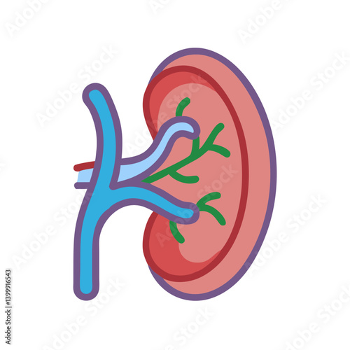  Creative Spleen Anatomy Icon