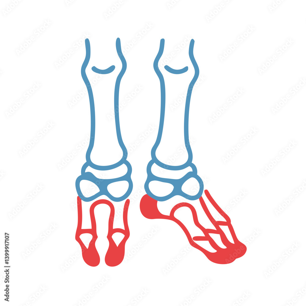 Fototapeta premium Stylish Tarsal Bones Structure Anatomy Icon