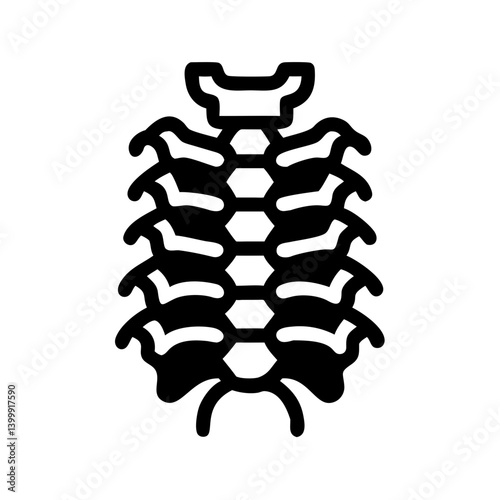  Unique Thoracic Vertebrae Anatomy Icon