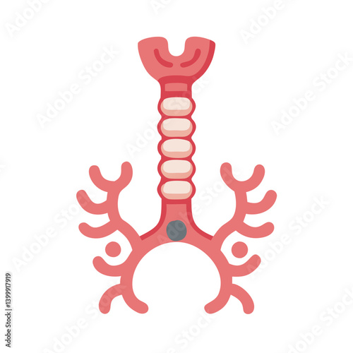  Modern Trachea Anatomy Icon