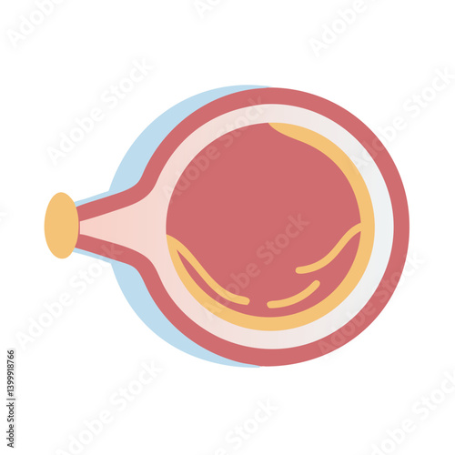  Vitreous Body Anatomy Icon Design