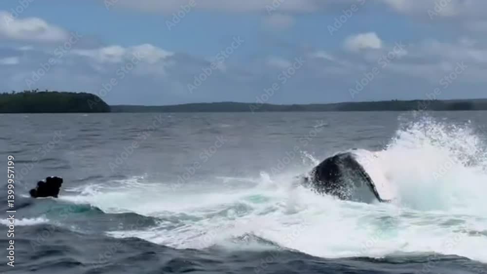 Whale Tail Slapping the Ocean Surface Whale Tail Slapping the Ocean Surface