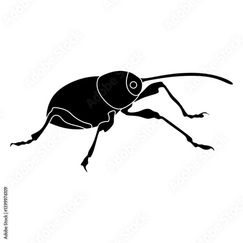 weevil