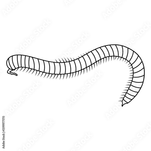 millipede