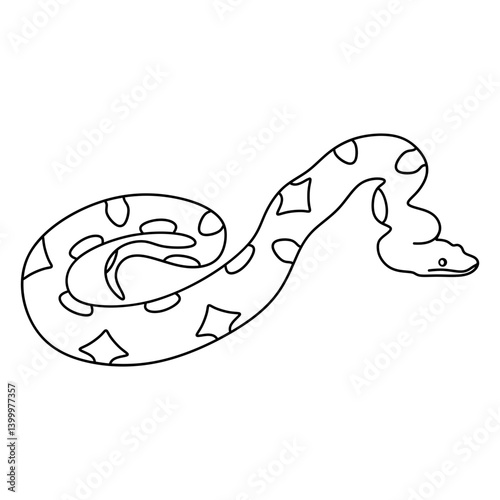 boa constrictor