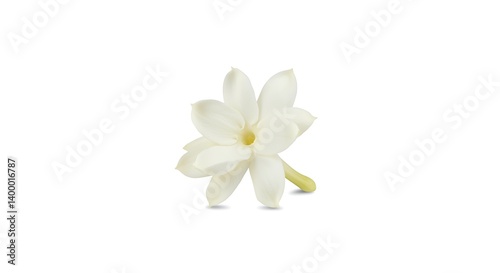 Starlight Bloom AI Generated