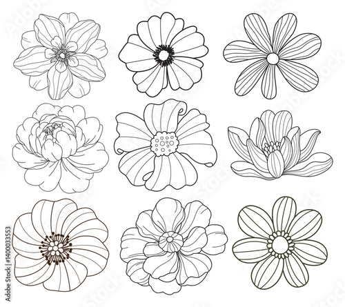 Set of flower. Hand drawn elements. Plant Art design for print, cover, wallpaper, Minimal and natural wall.
