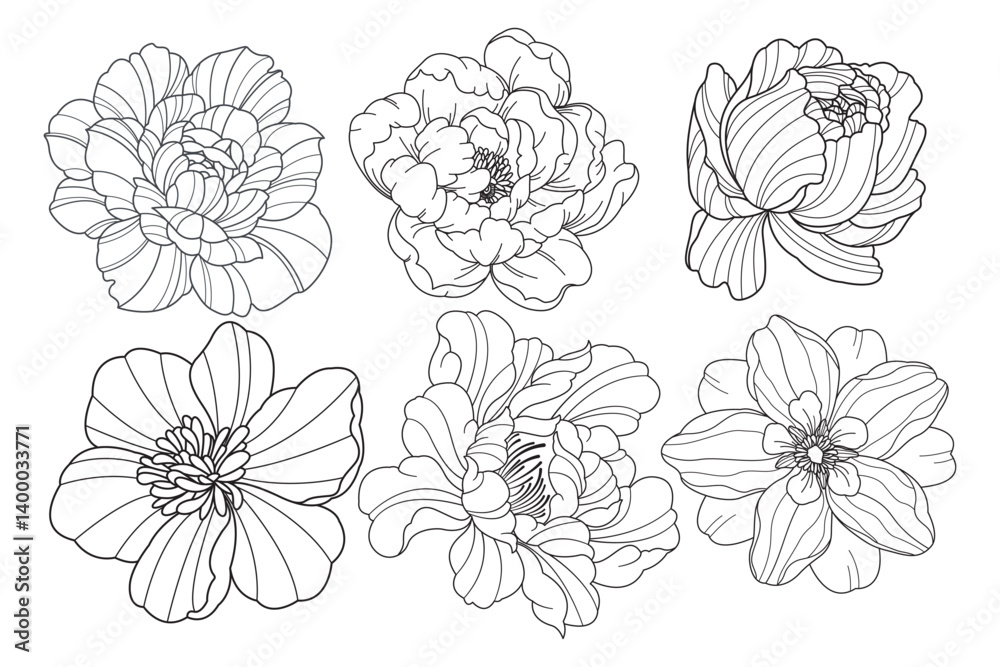 Set of flower. Hand drawn elements. Plant Art design for print, cover, wallpaper, Minimal and natural wall. Set of flower. Hand drawn elements. Plant Art design for print, cover, wallpaper, Minimal and natural wall.