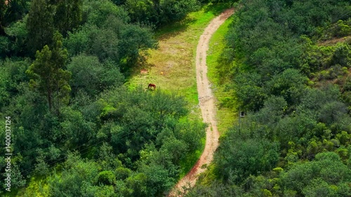 Aerial drone fly at Trekking path in Guatavita, Colombia, Altiplano green mountains with horse grazing landscape in Tominé reservoir photo