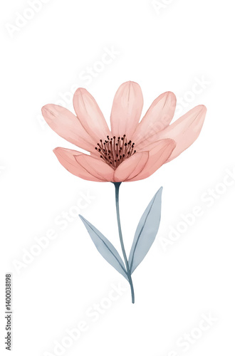 Obraz na płótnie Elegant pink flower clipart artwork nature decorative design soft background minimalist style,isolated,transparent background,cut out w salonie