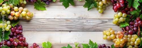 Frame with grape and vine for wine with copy space for text