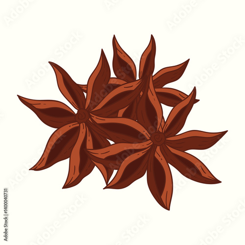 Star anise flat design cartoon icon illustration