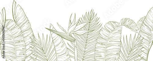 Botanical seamless border of tropical leaf with strelitzia. Vector illustraton.