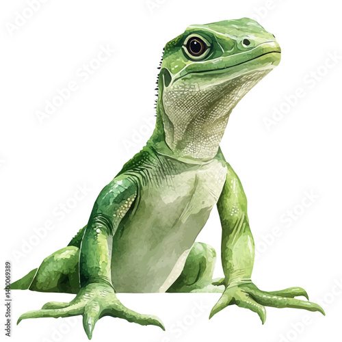 watercolor of Tuatara, vector, isolated on a white background.