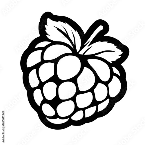 Raspberry outline for coloring book, children's coloring without background, png format