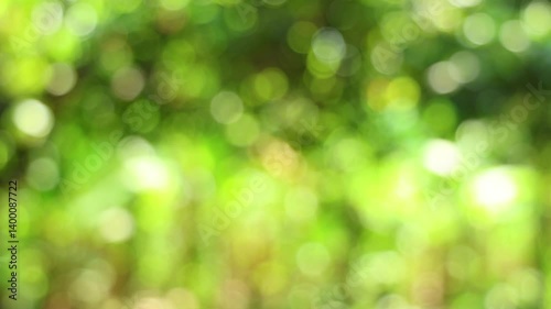 Abstract nature bokeh background of lush greenery