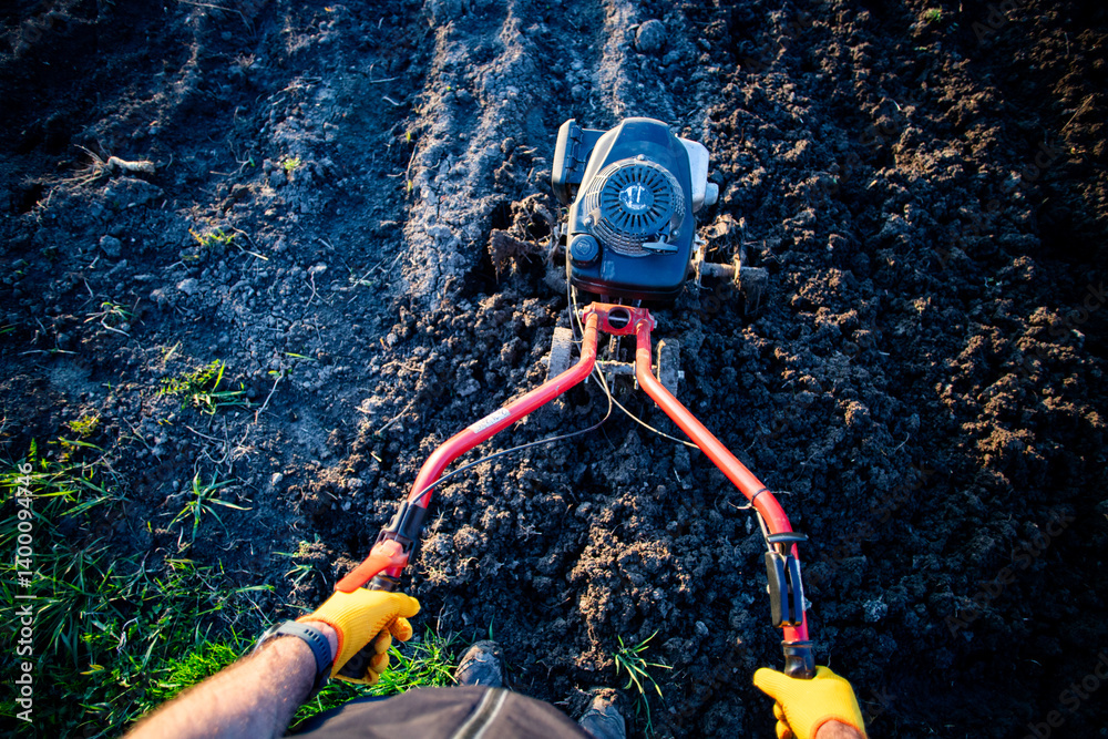 organic farming man ploughs the ground at sunset with a tiller preparing the soil for sowing