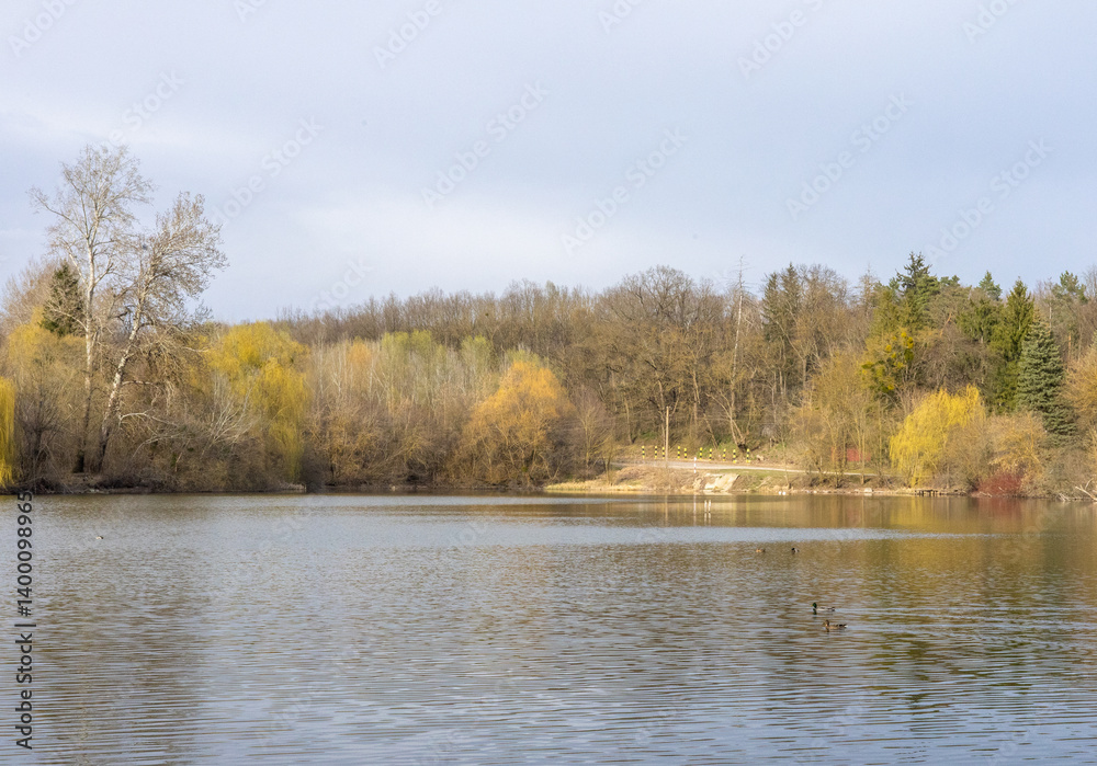 Fototapeta premium Spring landscape near the lake