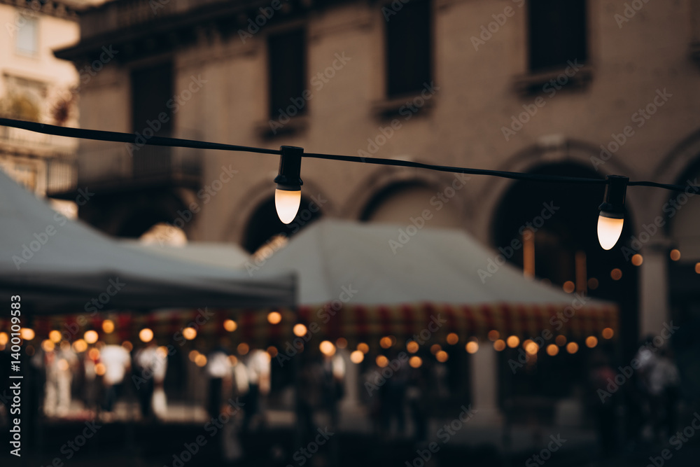 Decorative vintage street black light bulbs with white shade. Outdoor Street electric garland. Old light bulbs. String wired bulbs. Festoon string lights decoration at the party event.