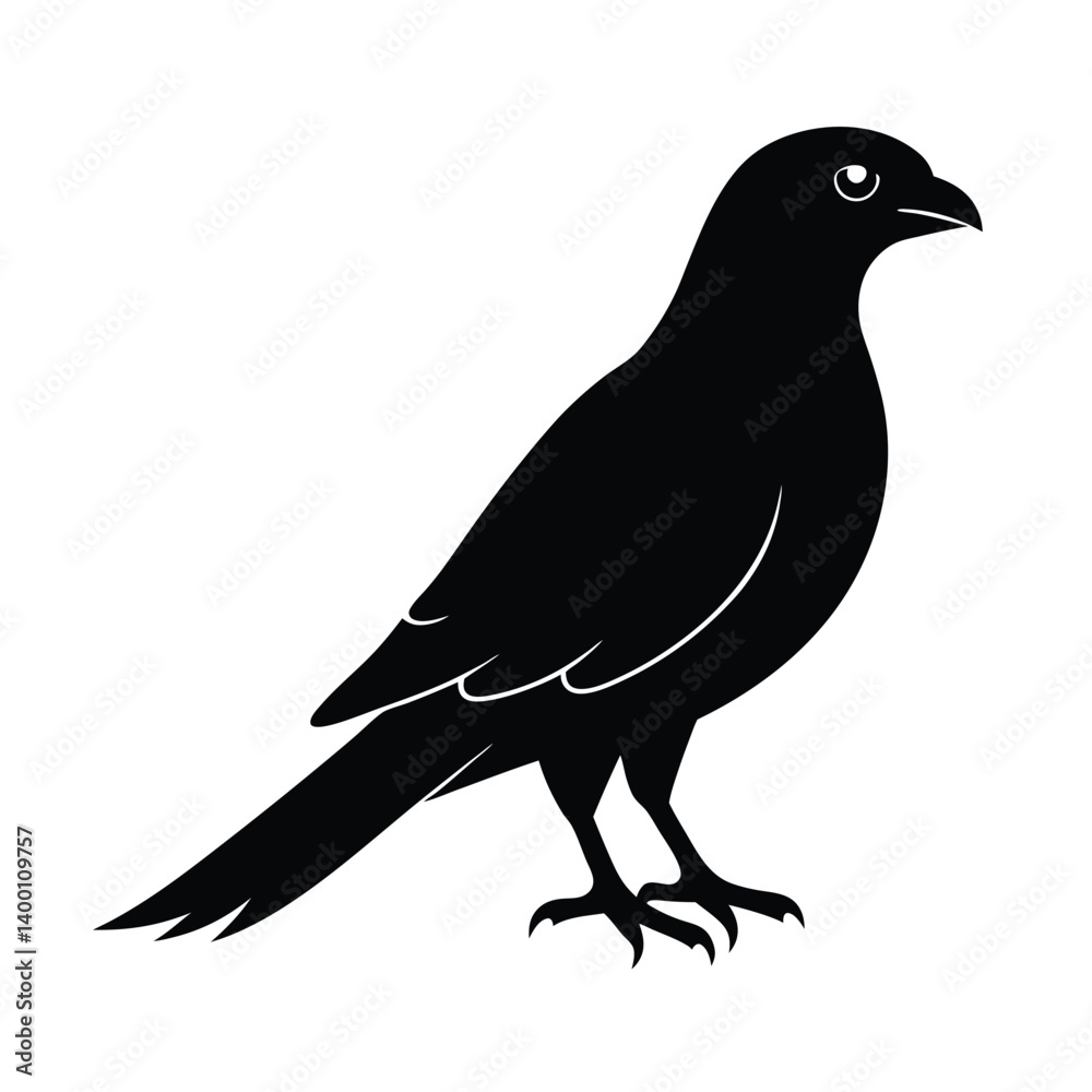 Sparrowhawk Silhouette Vector Art Design and Black and White Sparrowhawk Bird Vector Illustration Sparrowhawk Silhouette Vector Art Design and Black and White Sparrowhawk Bird Vector Illustration