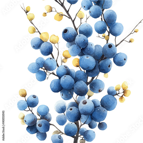 Tansy Branch, watercolor vector, isolated on a white background.