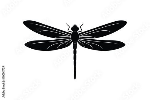 Dragonfly silhouette on white background