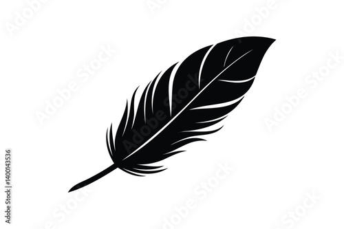 Feather silhouette on white background