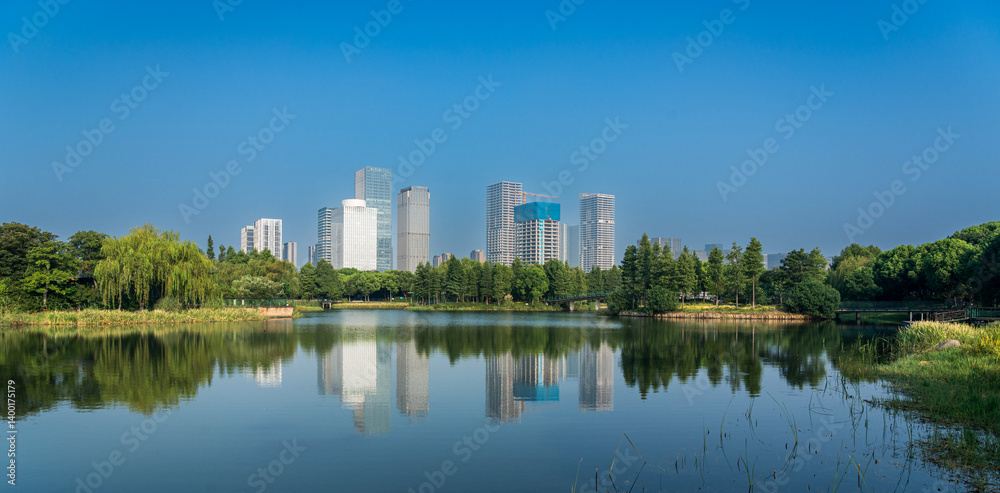 Tranquil Urban Oasis