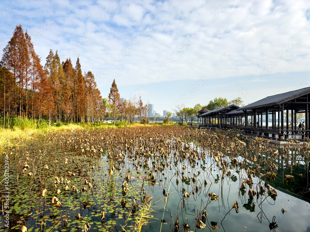 Autumn Serenity by the Water