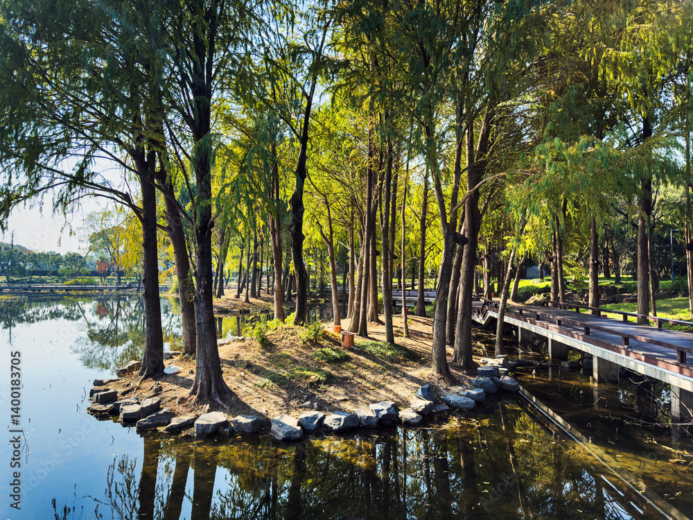 Tranquil Waters: A Serene Park Escape