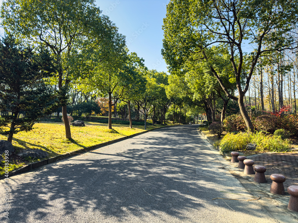 Serene Pathway in a Lush Park