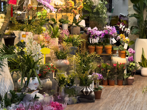 Obraz na płótnie Lush Blooms: A Floral Wonderland w salonie