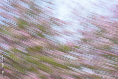 A blurred and dynamic image of pink and green flowers.
