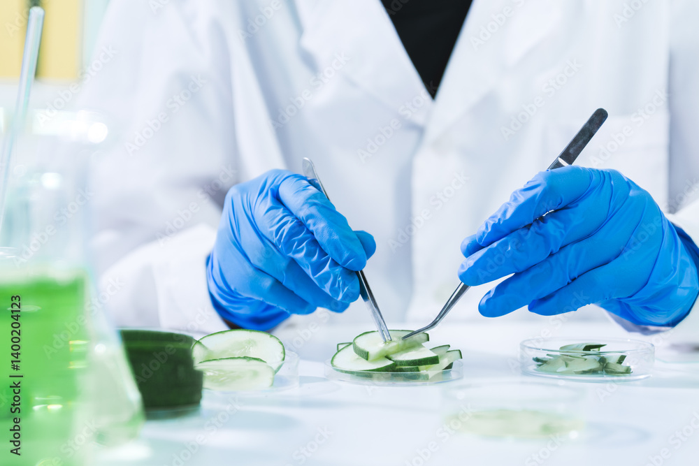 Fototapeta premium In the laboratory, a scientist in biotechnology used cucumber as a key ingredient in skincare medicine, blending research, innovation, and biology for quality health treatment.