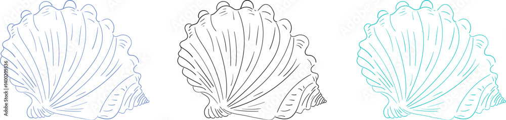 Set of hand drawn sea shell in three color variants. Minimalist line art. Summer vacation design elements for fashion prints, labels, menu cover. Vector flat illustration. Set of hand drawn sea shell in three color variants. Minimalist line art. Summer vacation design elements for fashion prints, labels, menu cover. Vector flat illustration.