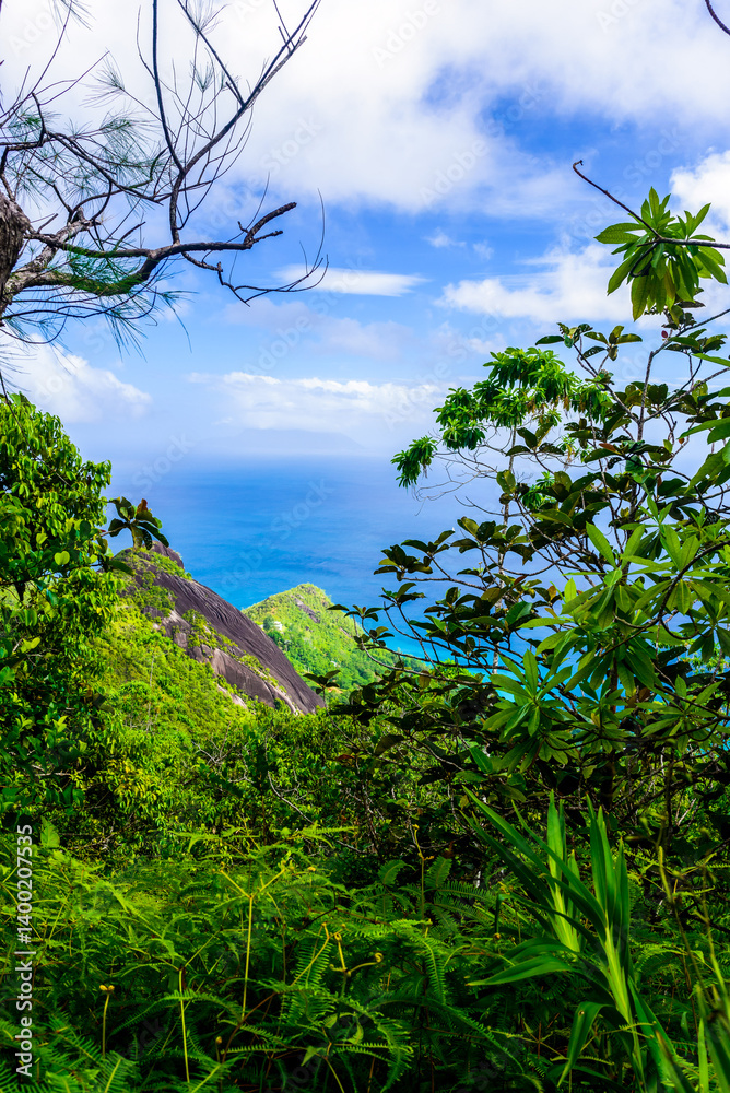 Obraz premium Scenic View in Morne Seychellois national park